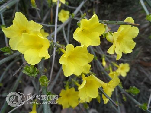 suncitygroup太阳集团