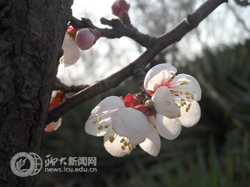 suncitygroup太阳集团