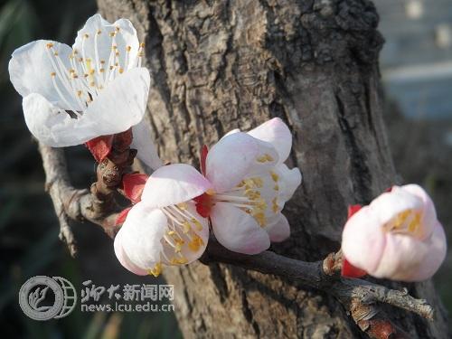 suncitygroup太阳集团