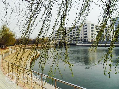 suncitygroup太阳集团