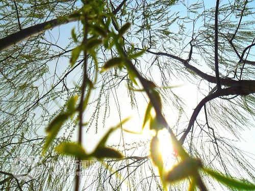 suncitygroup太阳集团