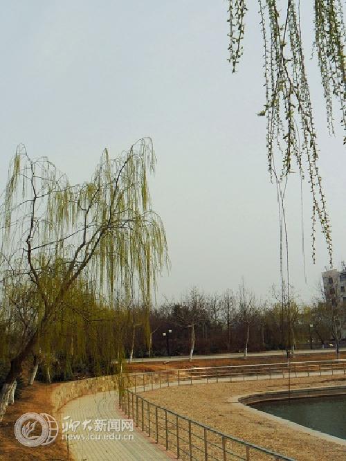 suncitygroup太阳集团