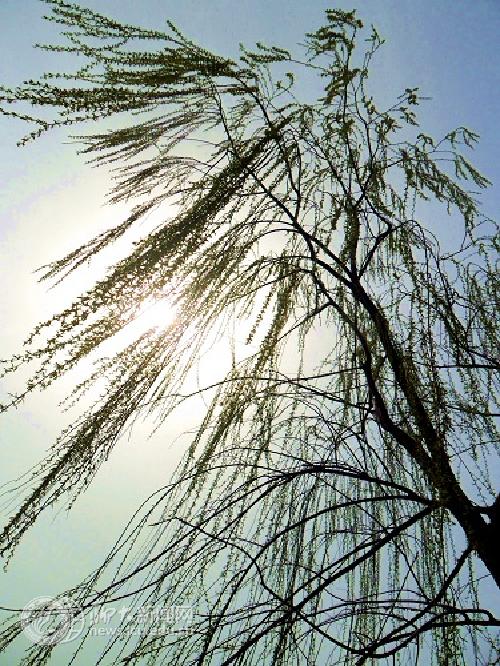 suncitygroup太阳集团