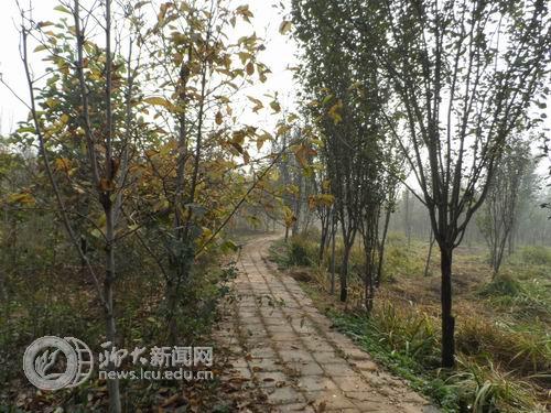 suncitygroup太阳集团