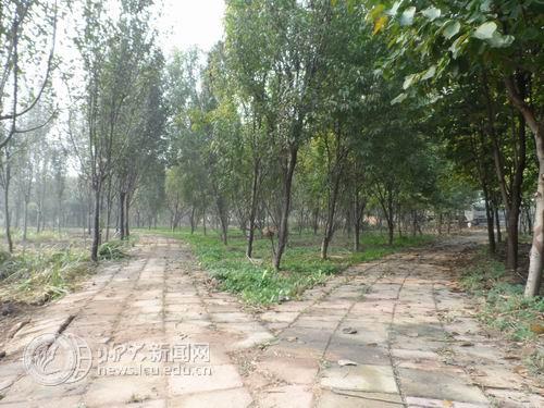 suncitygroup太阳集团