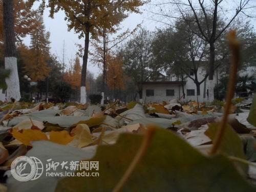 suncitygroup太阳集团