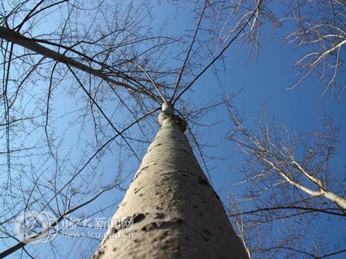 suncitygroup太阳集团