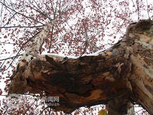 suncitygroup太阳集团