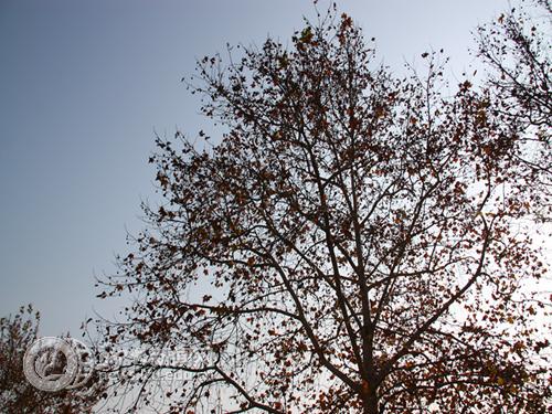 suncitygroup太阳集团