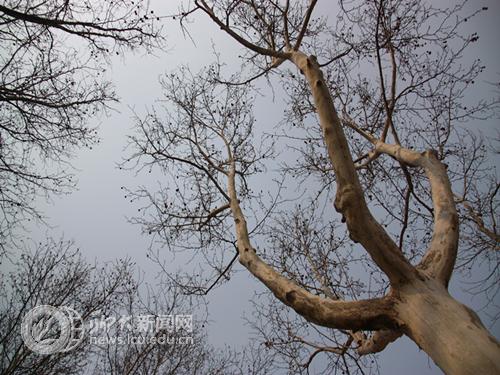 suncitygroup太阳集团