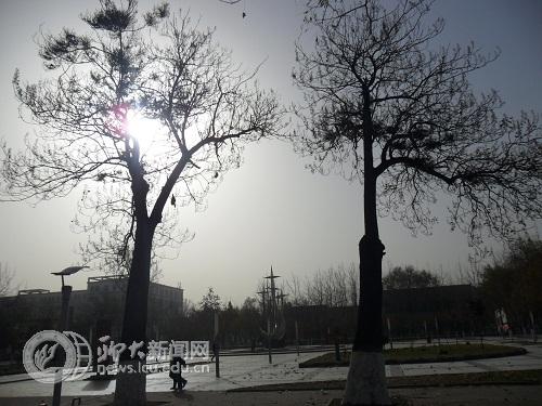 suncitygroup太阳集团