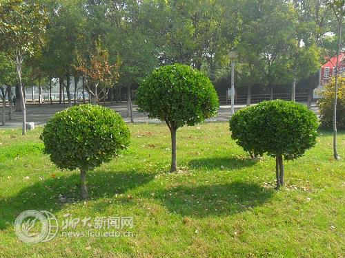 suncitygroup太阳集团