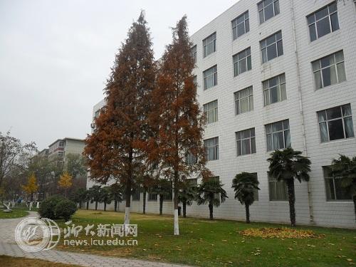 suncitygroup太阳集团