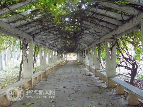 suncitygroup太阳集团