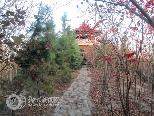 suncitygroup太阳集团