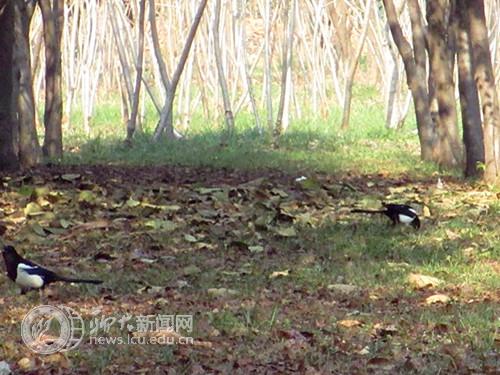 suncitygroup太阳集团