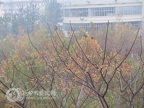 suncitygroup太阳集团