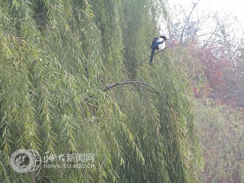 suncitygroup太阳集团