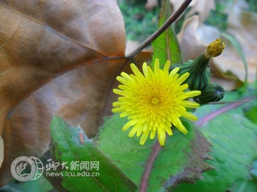 suncitygroup太阳集团