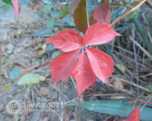 suncitygroup太阳集团