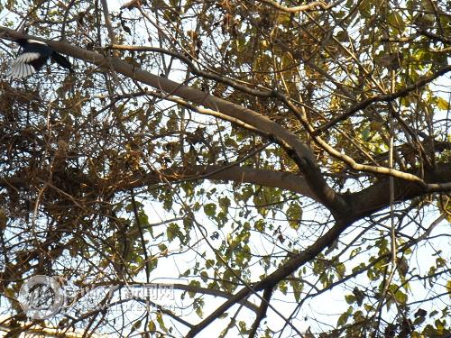 suncitygroup太阳集团