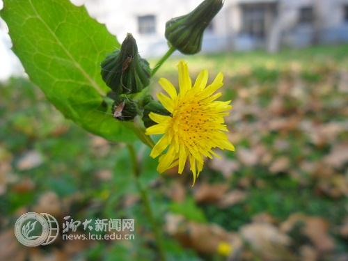 suncitygroup太阳集团