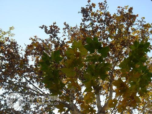 suncitygroup太阳集团