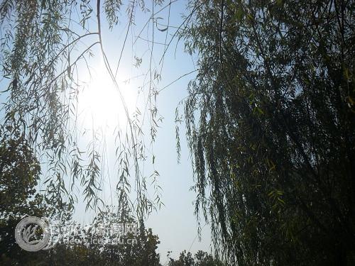 suncitygroup太阳集团