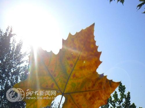 suncitygroup太阳集团