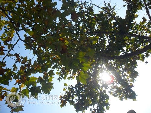 suncitygroup太阳集团