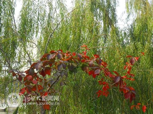 suncitygroup太阳集团