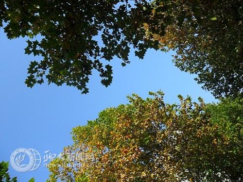 suncitygroup太阳集团