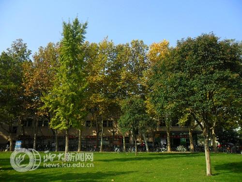 suncitygroup太阳集团