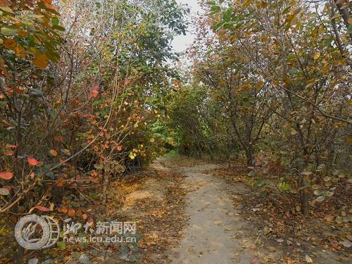 suncitygroup太阳集团