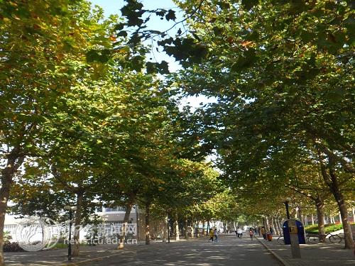 suncitygroup太阳集团