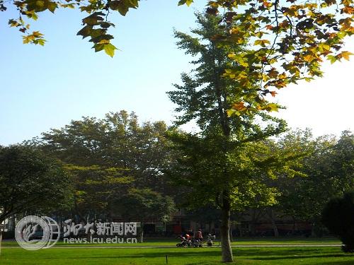 suncitygroup太阳集团