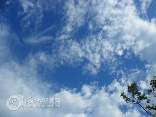 suncitygroup太阳集团