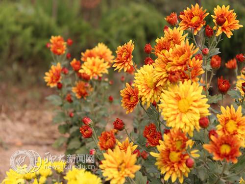 suncitygroup太阳集团