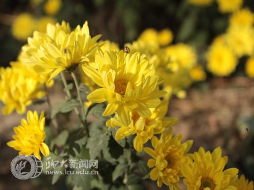 suncitygroup太阳集团