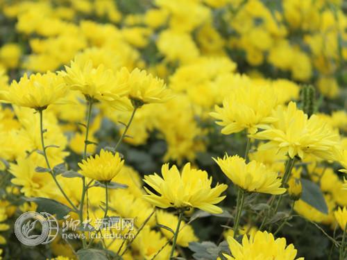 suncitygroup太阳集团