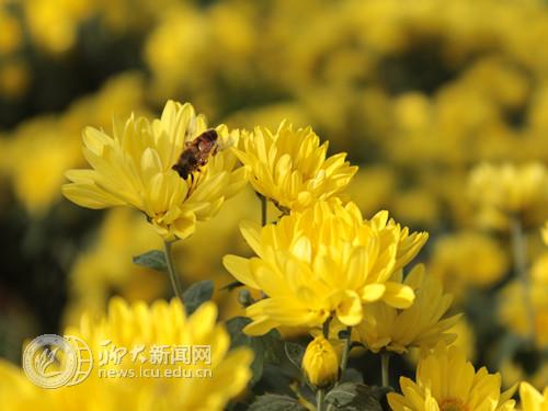 suncitygroup太阳集团