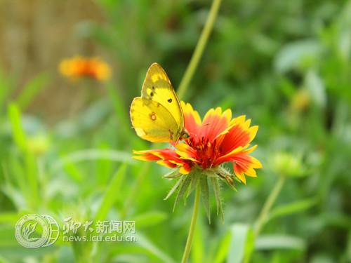 suncitygroup太阳集团