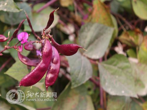 suncitygroup太阳集团