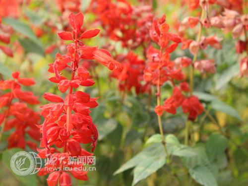 suncitygroup太阳集团