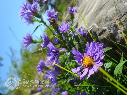 suncitygroup太阳集团