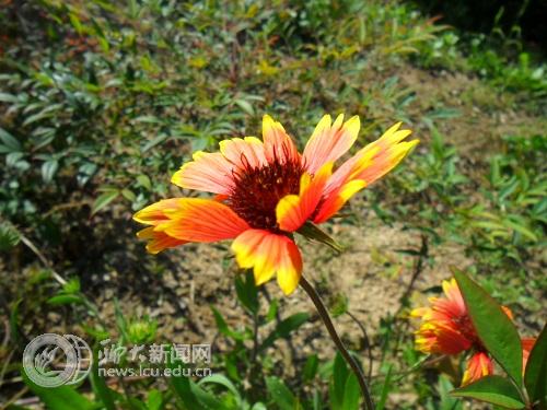 suncitygroup太阳集团