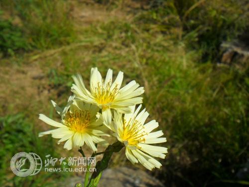 suncitygroup太阳集团