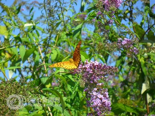 suncitygroup太阳集团