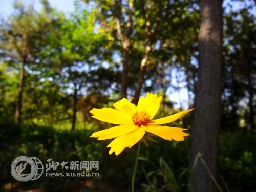 suncitygroup太阳集团