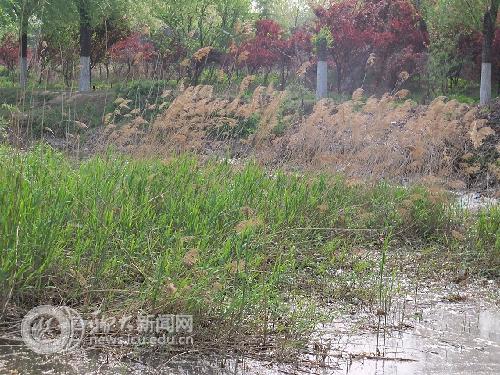 suncitygroup太阳集团